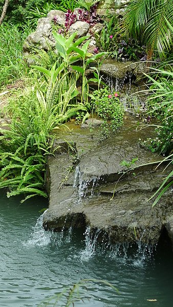 P1000270.JPG