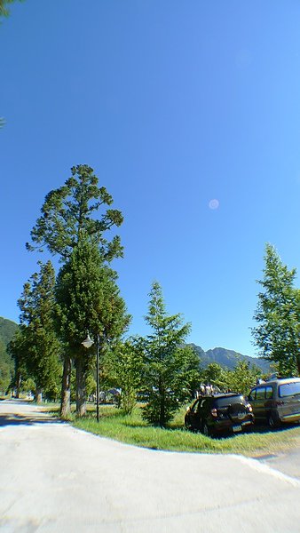P1010146.JPG