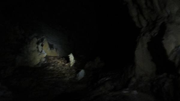 IMG_2744.jpg
