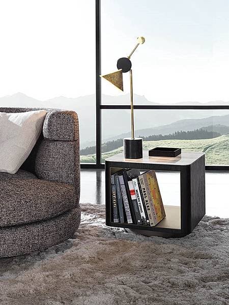 MINOTTI 義大利原裝進口 頂級精品家具 各大品牌整合進