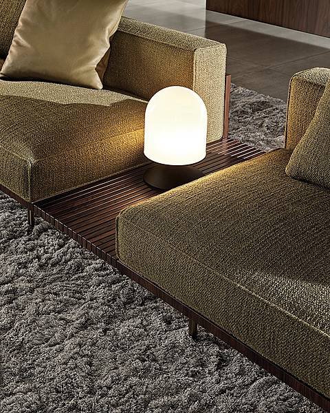 MINOTTI 義大利進口家具 頂級家具 歡迎電洽或蒞臨 卡