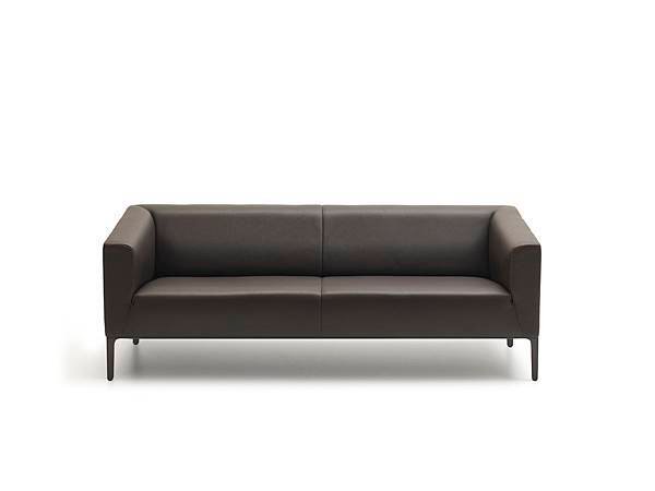 desede_ds-161_sofa_leather_0069.jpg