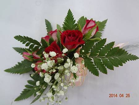 DSC00084.JPG