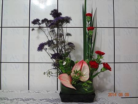 DSC00342.JPG
