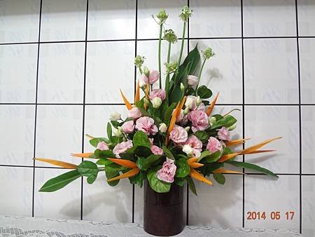 DSC00533.JPG