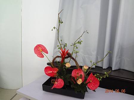 DSC00602.JPG