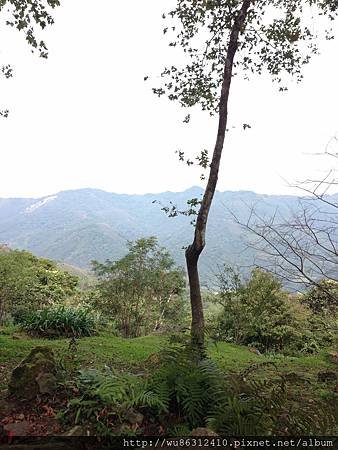 IMG_2187.JPG