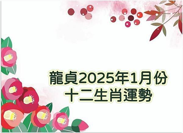 龍貞 2025年1月份12生肖運勢