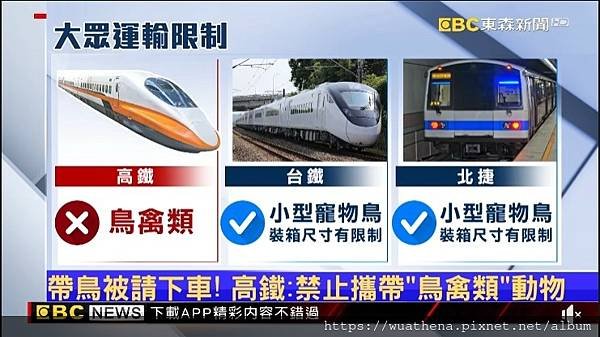 【寵物】2020/9月1日起搭乘北捷、公車可帶寵物鳥/鸚鵡(