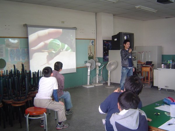 老師拍的生態圖片 鳳蝶幼蟲