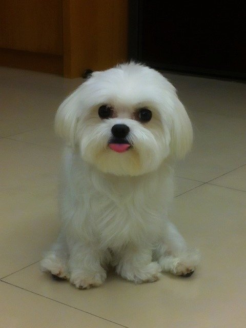 春1