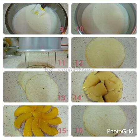 PhotoGrid_950328800167.jpg