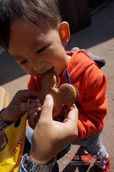 迪士尼樂園