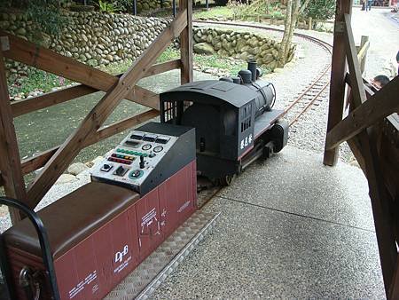2013.02.03台中新社櫻花林-13