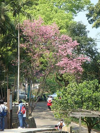 DSC06609