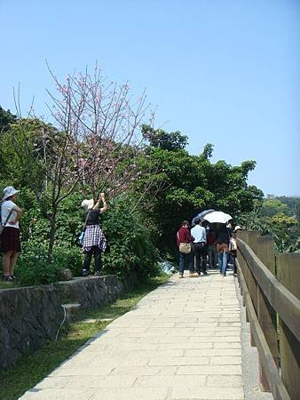 DSC06603