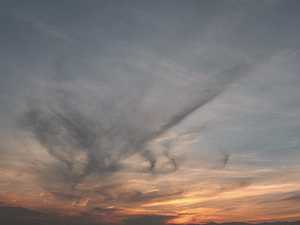 發芽的防潮箱：當長夜褪去