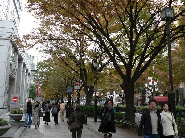 434Day3表參道.jpg