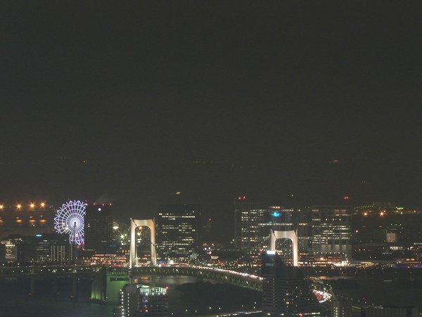486Day3東京Tokyo view夜景52F.jpg