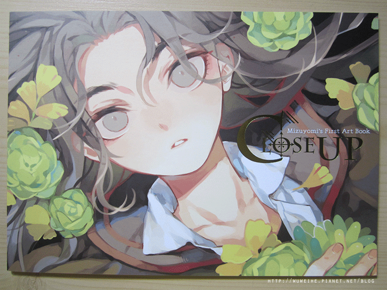 c13.gif