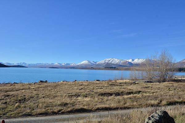 Lake Tekapo