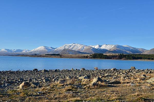 Lake Tekapo