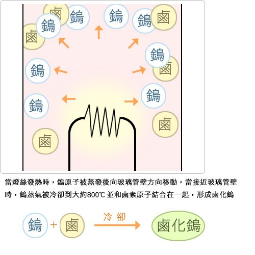 知識庫_燈泡篇(四)_04.jpg