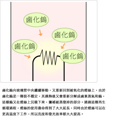 知識庫_燈泡篇(四)_05.jpg