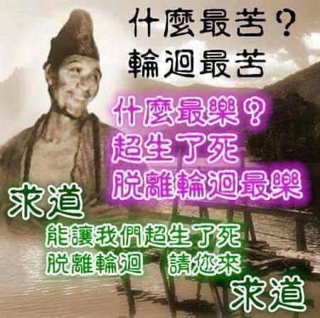 11756442_1439877836338171_146309948_n