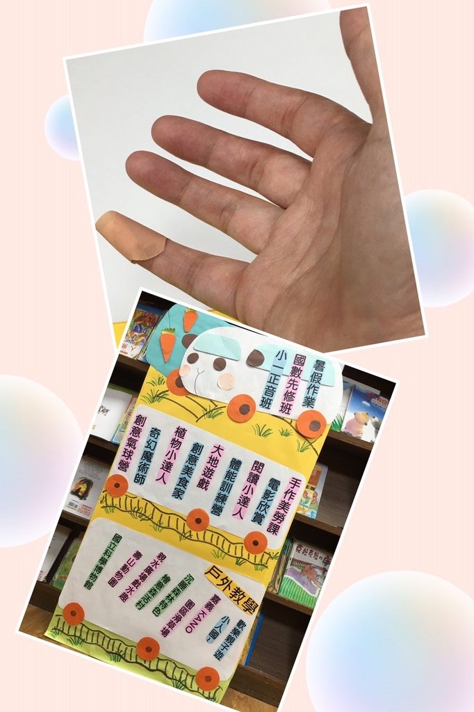 S__17350671.jpg