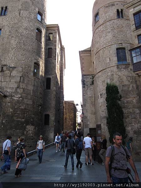 IMG_1646.JPG