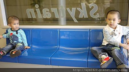 P1100341.JPG