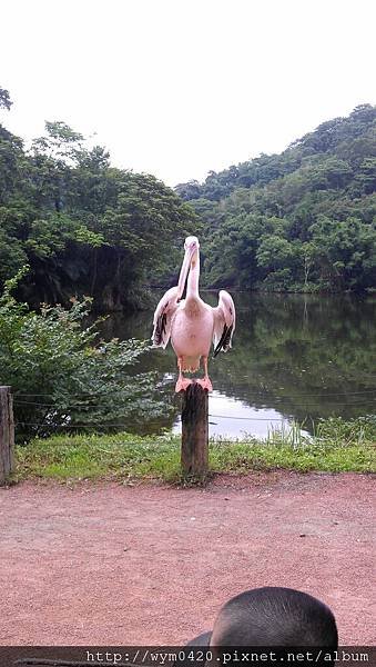 IMAG0835