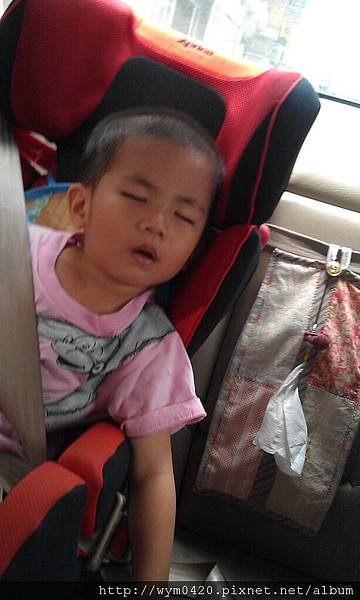 IMAG0843