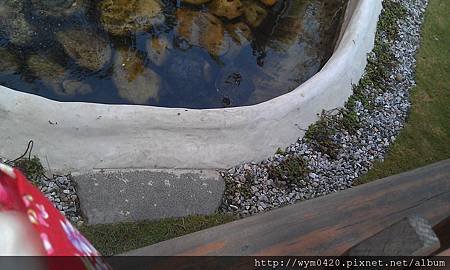 IMAG1192