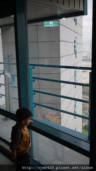 P1050384.JPG