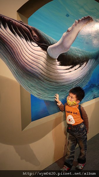 P1050357.JPG