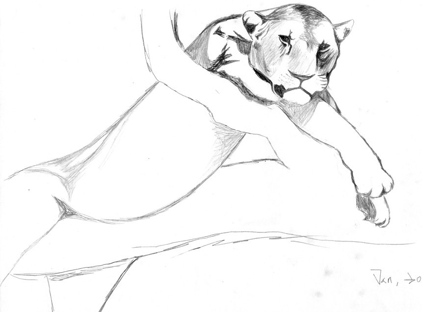 母獅_UP.jpg