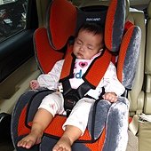 IMG_7681.JPG