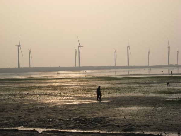 tn_IMG_8981.JPG