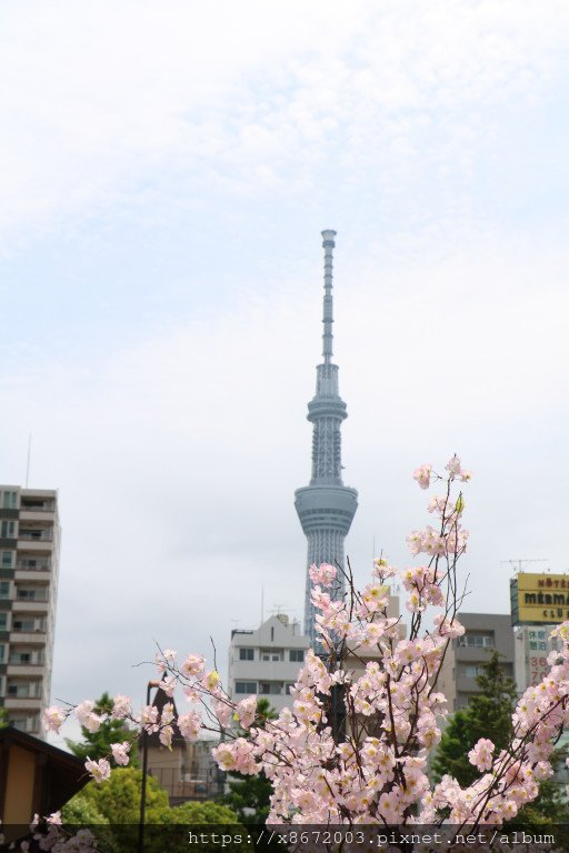 日本自由行-地陪服務