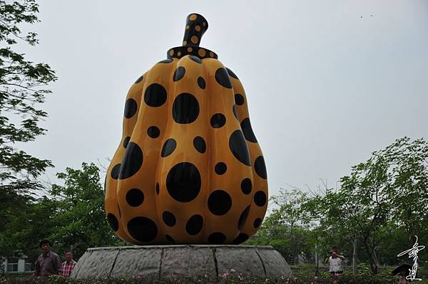 72-33_7168.JPG