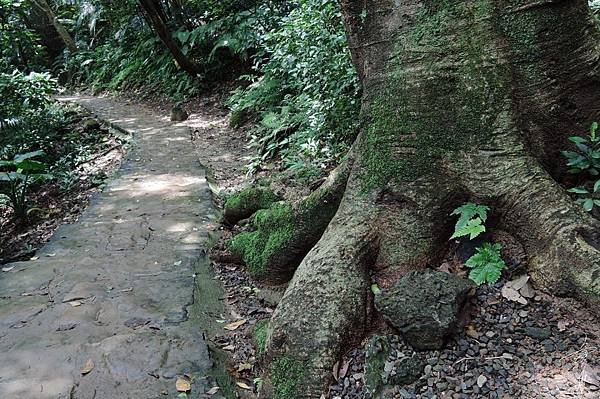 73-13_1037.jpg