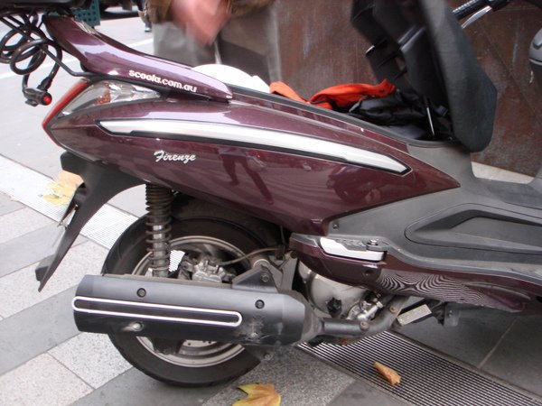 DSC04596.JPG