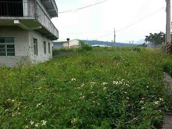 ◆小熊House【售售售】☆埔里超大建地(買地送屋)★(埔里鎮)