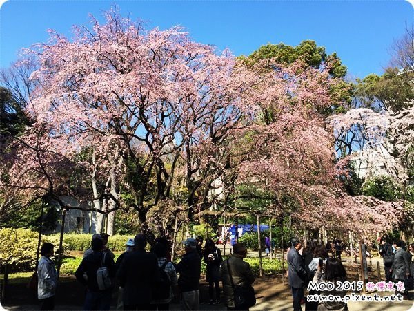 六義園