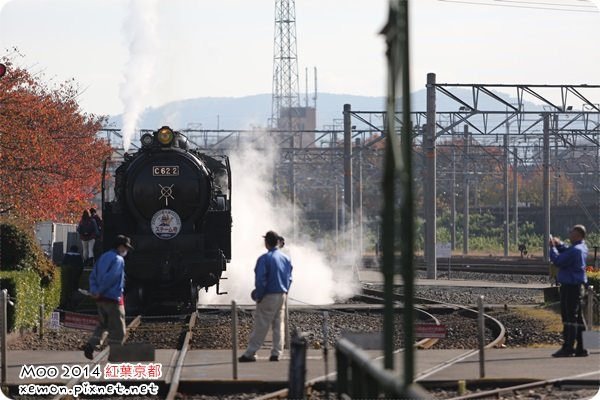 梅小路蒸汽火車