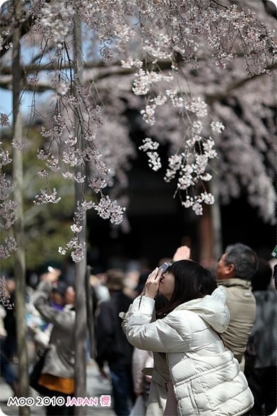 醍醐寺