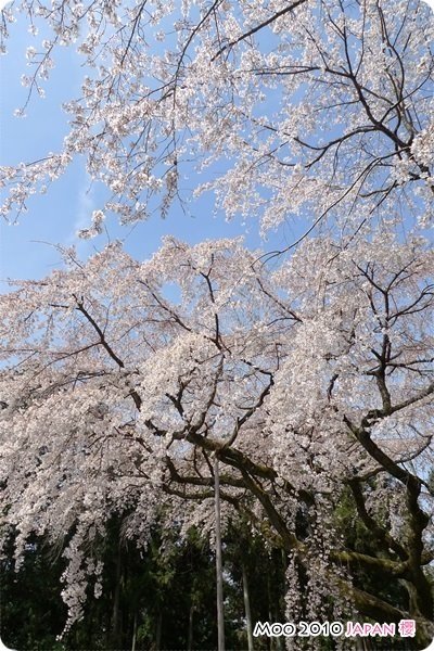 醍醐寺