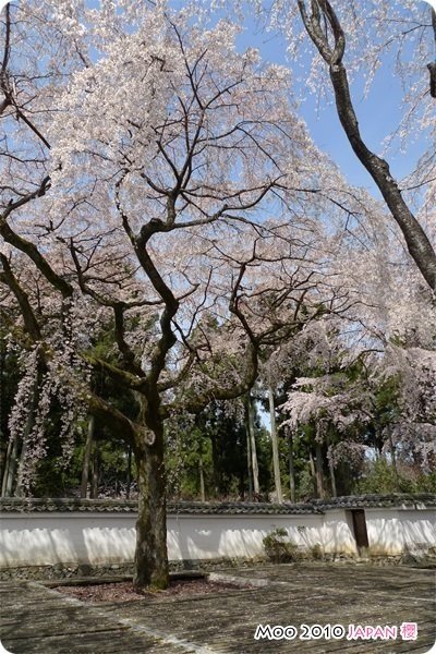 醍醐寺